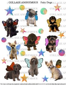 Fairy Dogs watermarked